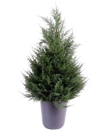 Artificial cypress (juniperus vj)