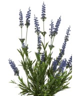 Artificial Lavender