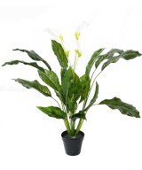 Kunstlik SPATHIPHYLLUM (rahuliilia) SUUR plast