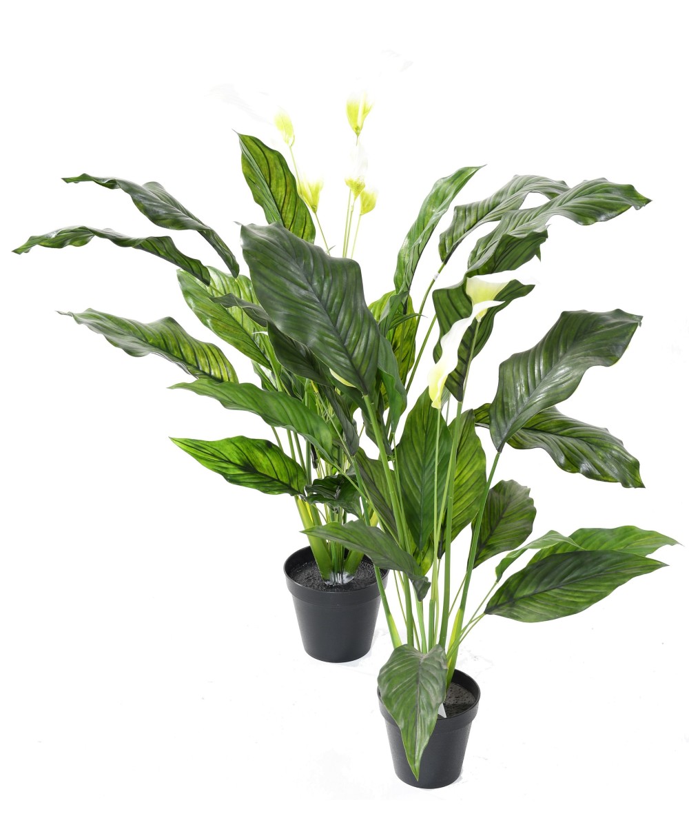 Artificial SPATHIPHYLLUM (Peace Lily) LARGE PLAST