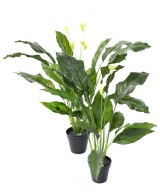 Kunstlik SPATHIPHYLLUM (rahuliilia) SUUR plast