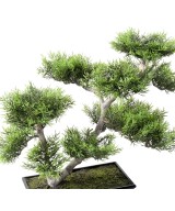 Kunstlik bonsai mänd 42