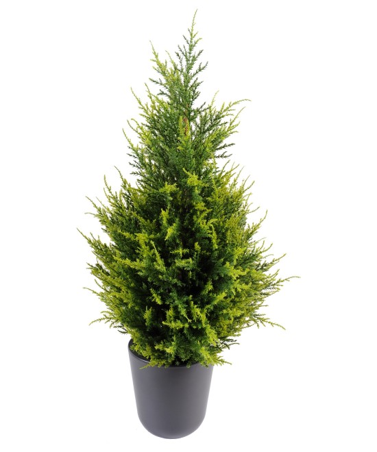 Kunstküpress Juniperus
