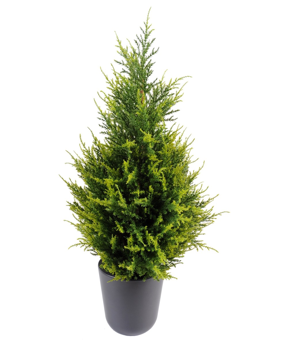 Kunstküpress Juniperus