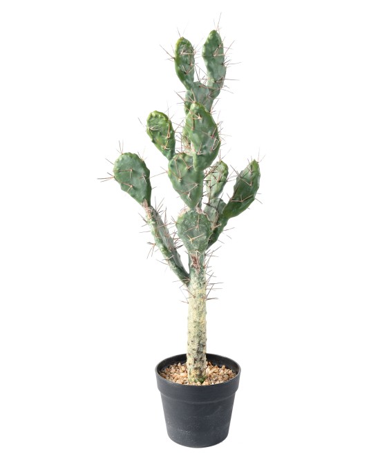 Artificial CACTUS