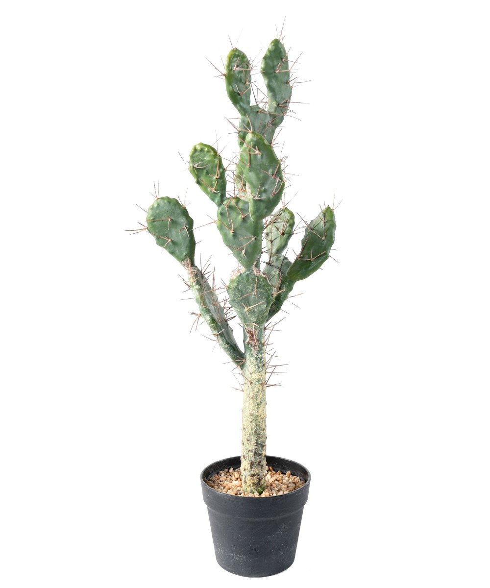 Artificial CACTUS
