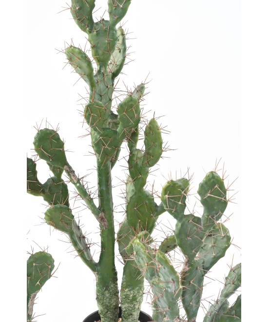 Artificial CACTUS