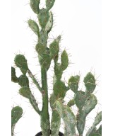 Artificial CACTUS