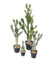 Artificial CACTUS