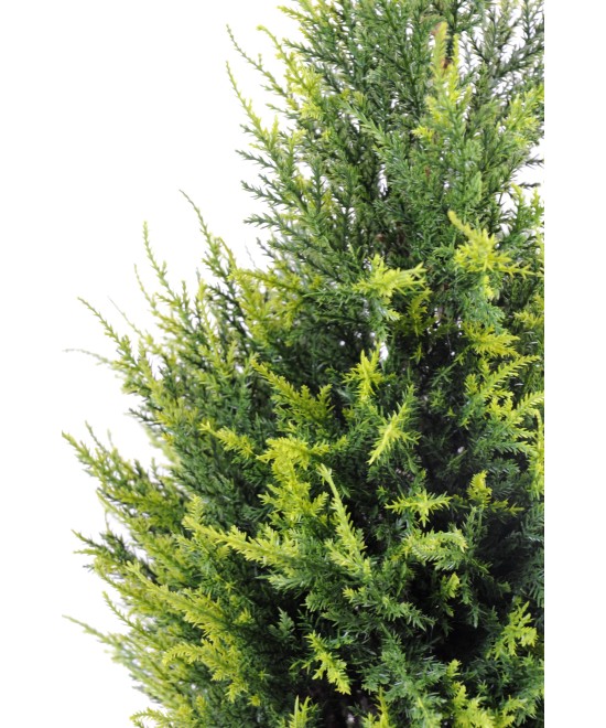 Kunstküpress Juniperus
