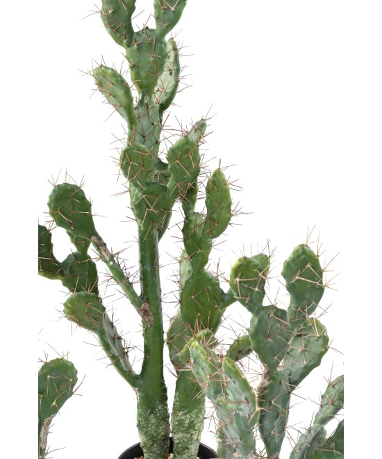 Artificial CACTUS