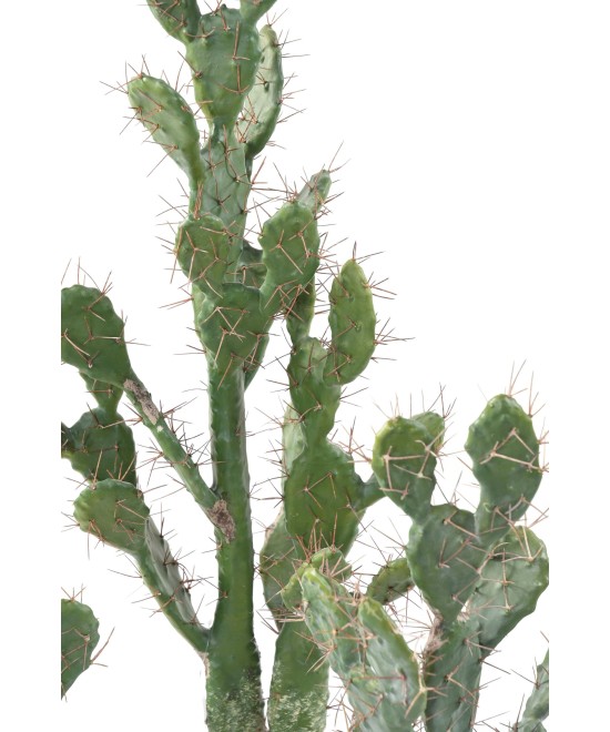 Artificial CACTUS