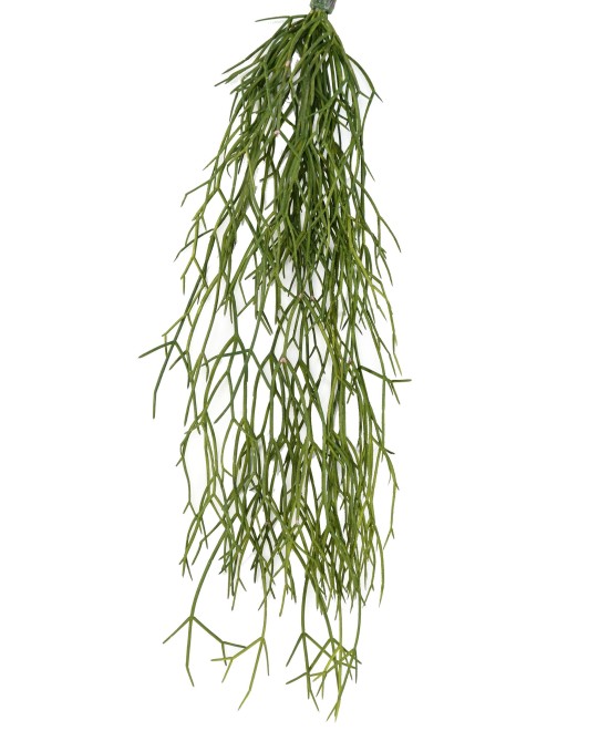 Artificial RHIPSALIS 50