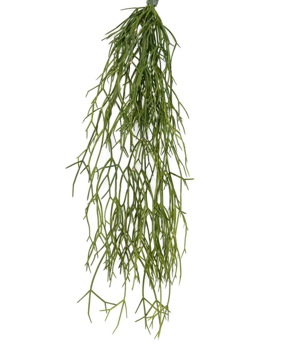 Kunstlik RHIPSALIS 50