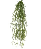 Artificial RHIPSALIS 50