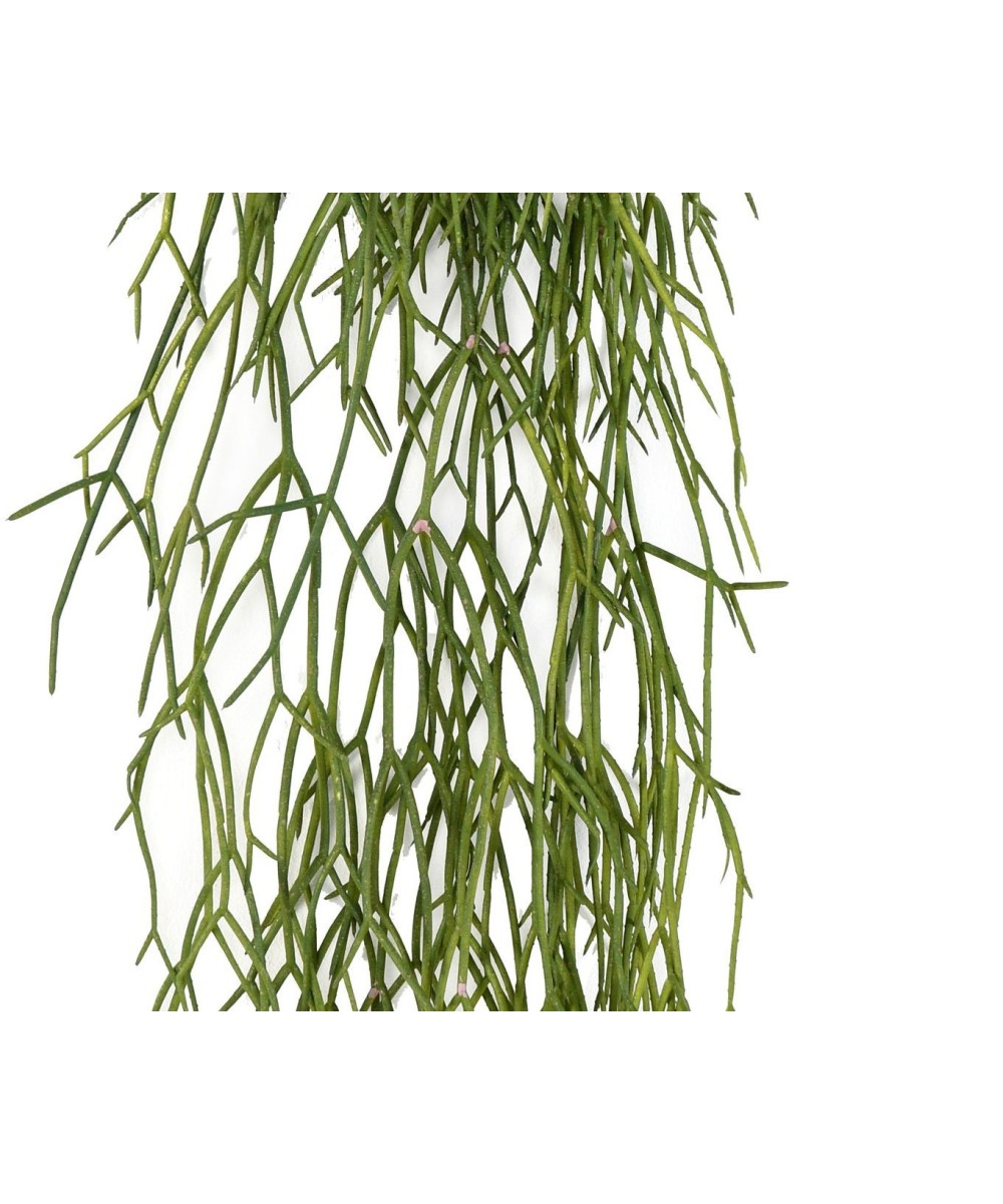 Kunstlik RHIPSALIS 50