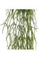 Artificial RHIPSALIS 50