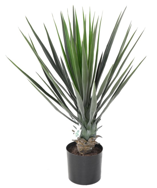 Kunstjuuka ROSTRATA 60