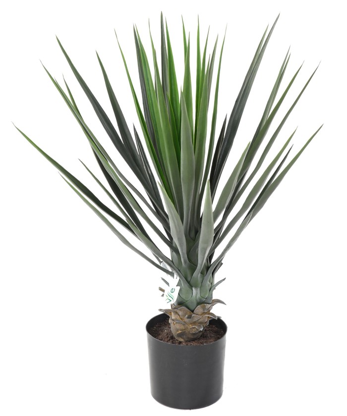 Artificial YUCCA ROSTRATA 60