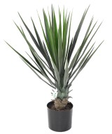Artificial YUCCA ROSTRATA 60