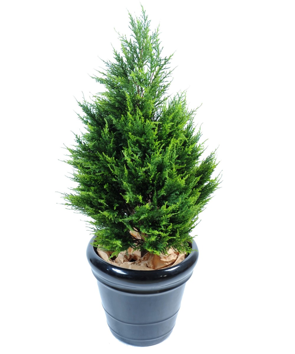Kunstküpress Juniperus