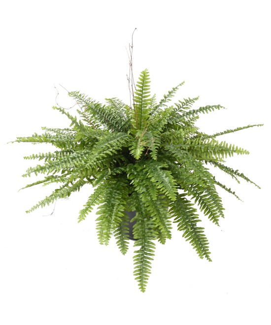 Artificial GIANT BOSTON FERN IN POT