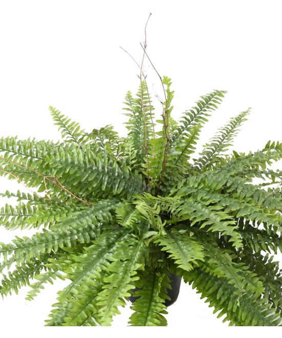 Artificial GIANT BOSTON FERN IN POT
