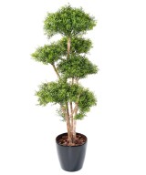 Artificial EUCALYPTUS M TREE