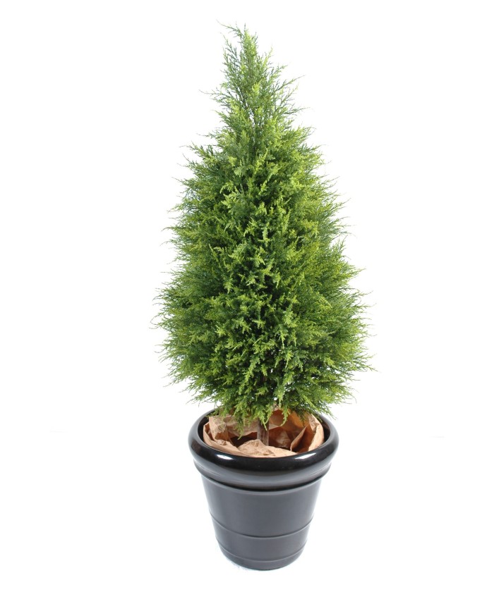 Kunstküpress Juniperus