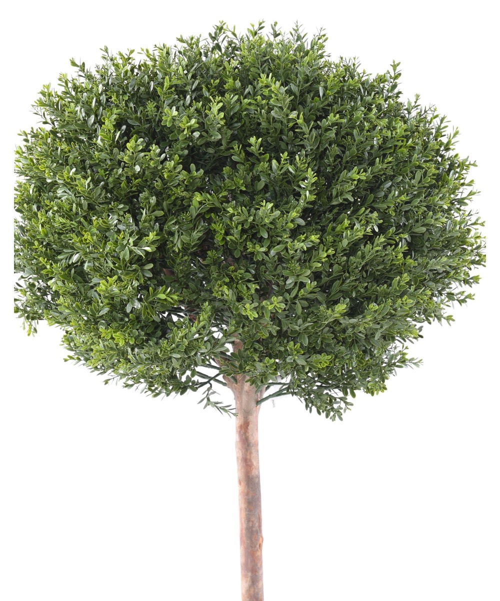 Artificial BOXWOOD RED DAY STEM BALL UV