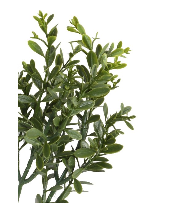 Artificial BOXWOOD RED DAY SPRAY UV