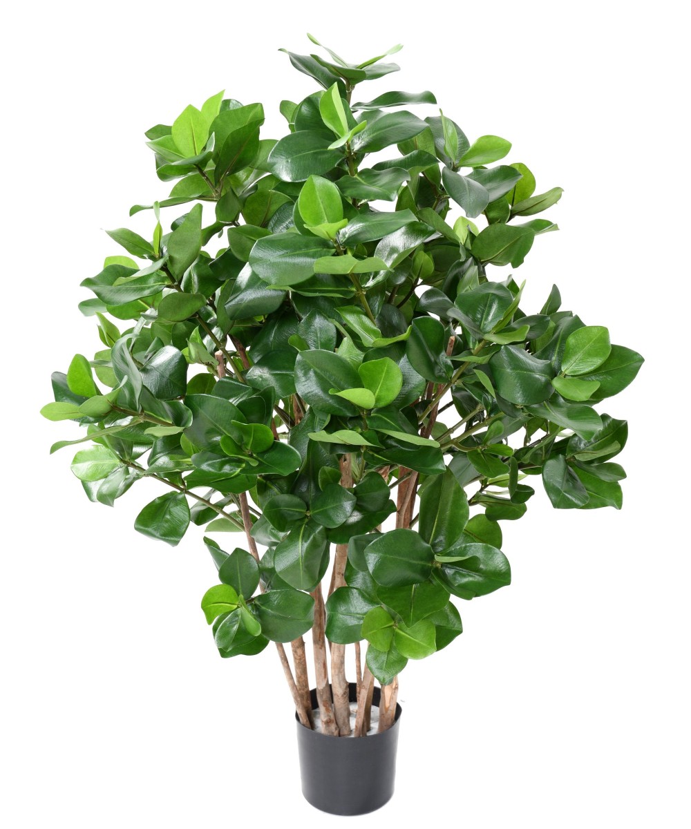 Artificial CLUSIA BUSH