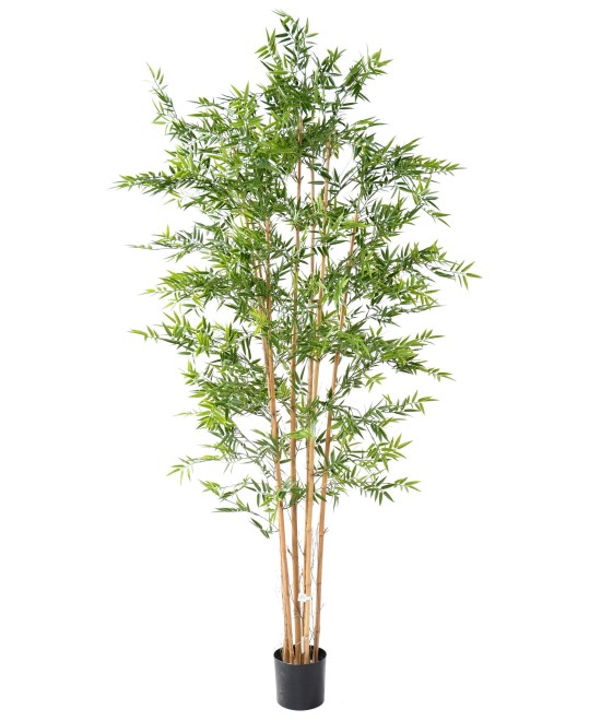 Kunstlik JAAPANI BAMBUSEST plast UV