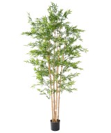 Artificial JAPANESE BAMBOO PLAST UV
