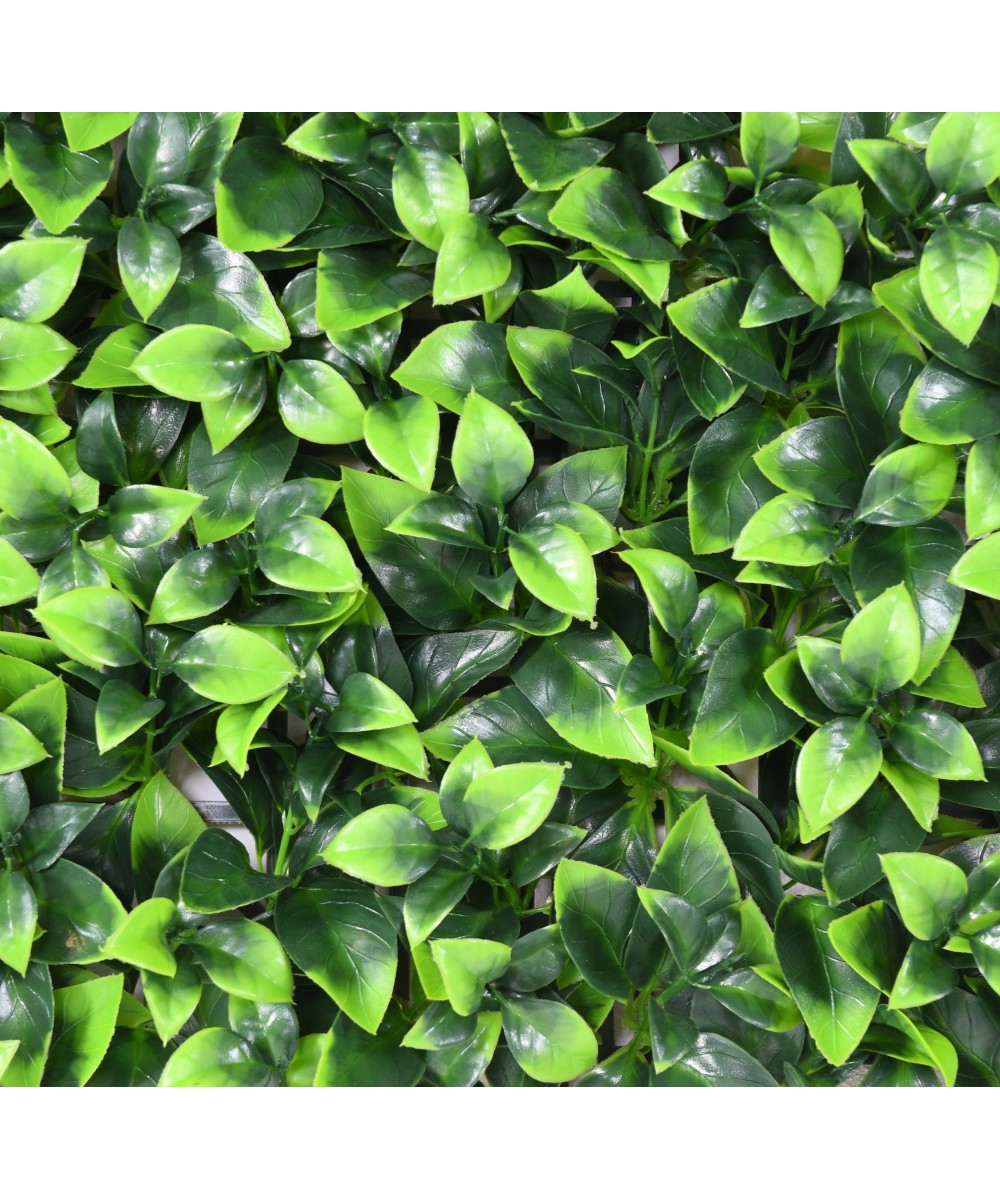 Artificial GREEN WALL PANEL F 50*50