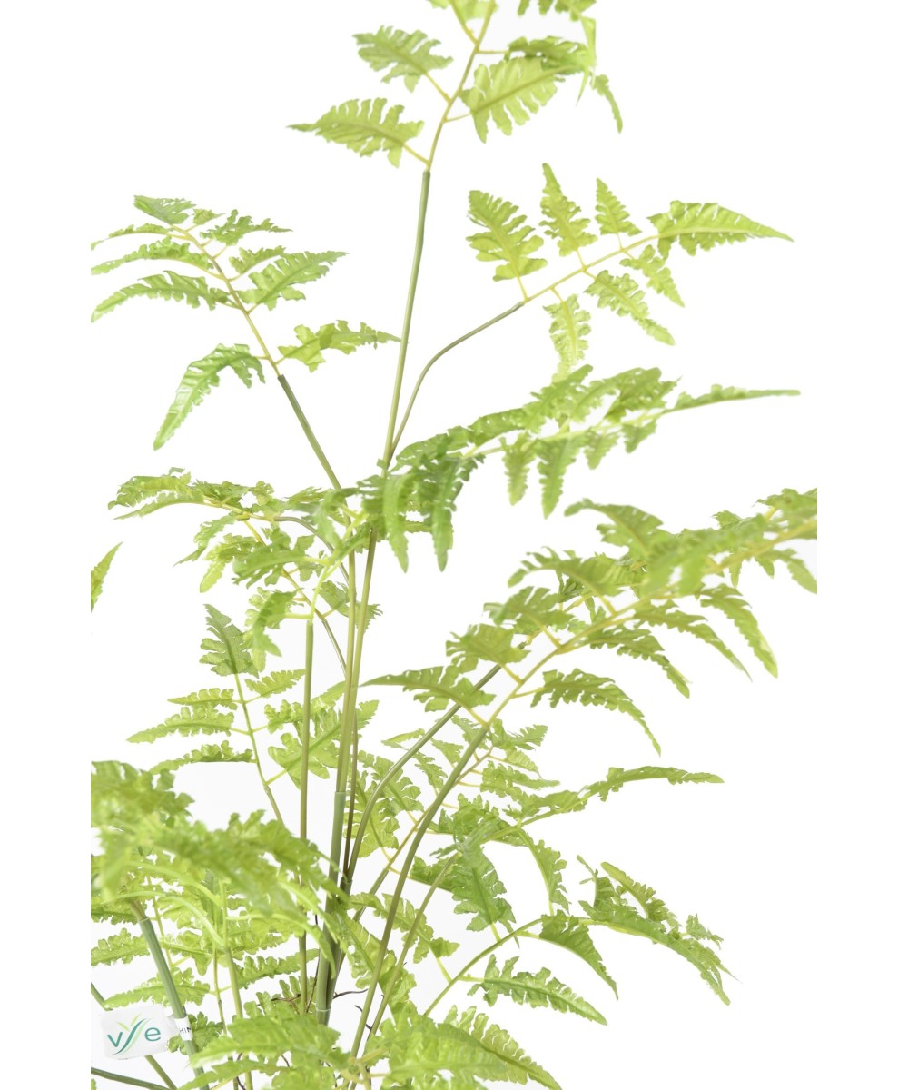 Artificial FERN