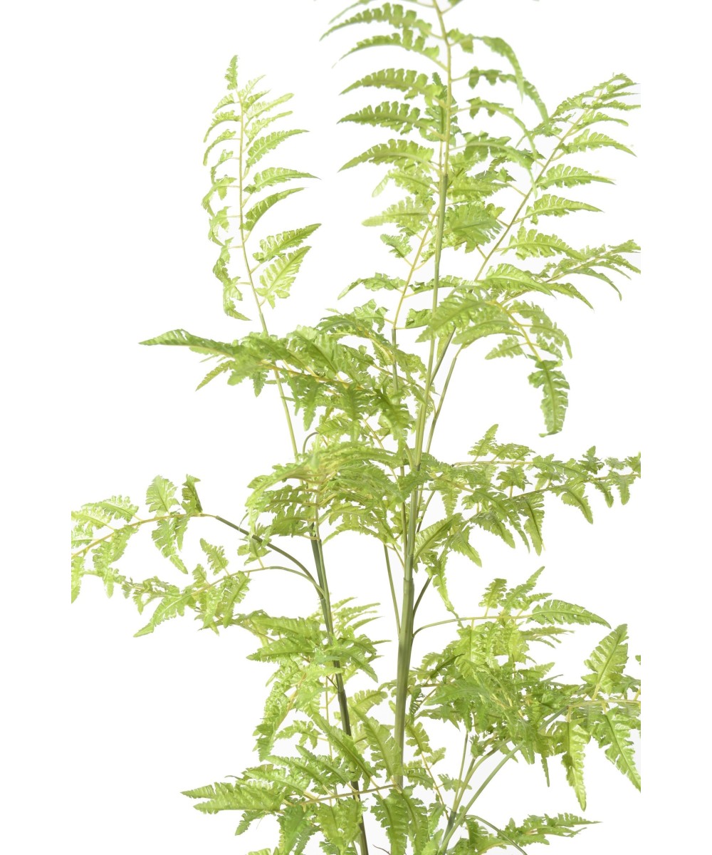 Artificial FERN