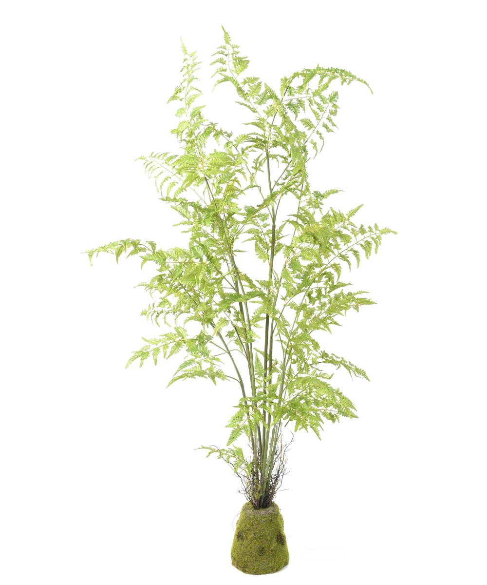Artificial FERN