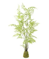 Artificial FERN
