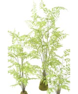 Artificial FERN