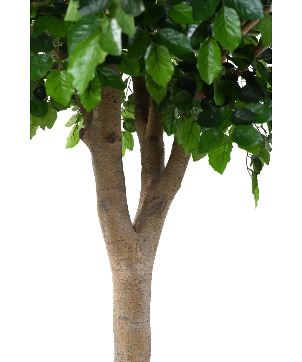 Artificial BEECH HEAD