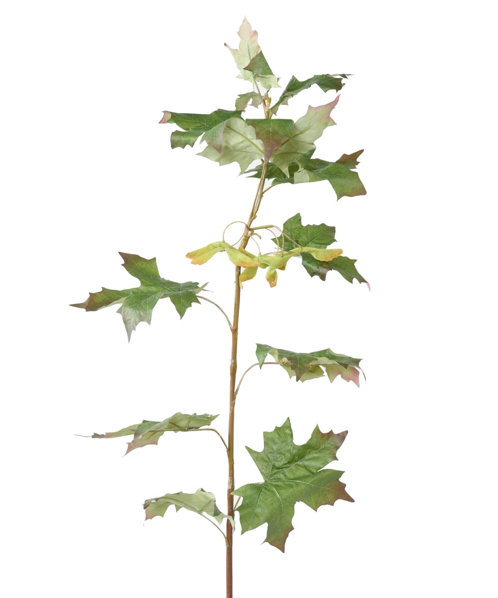 Artificial MAPLE BRANCH 1 M