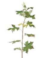 Artificial MAPLE BRANCH 1 M