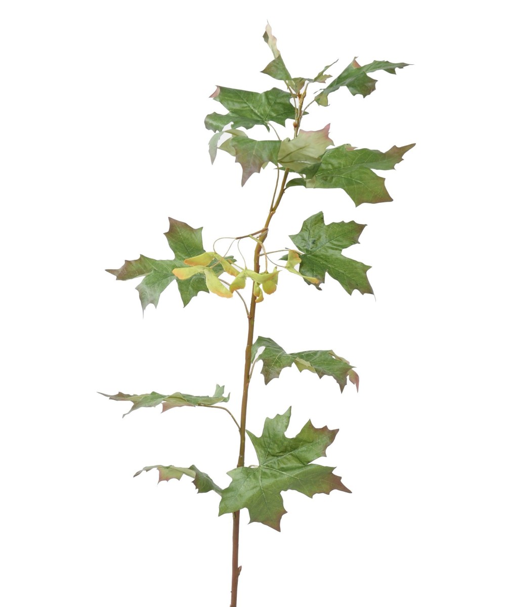 Artificial MAPLE BRANCH 1 M