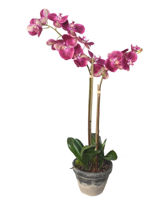 Kunstlik potilill Phalaenopsis orhidee 85