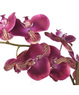 Artificial POTTED PHALAENOPSIS ORCHID 85
