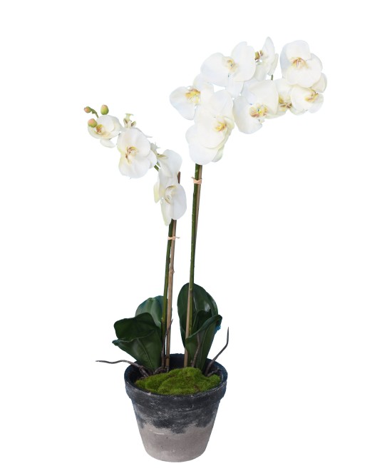 Kunstlik potilill Phalaenopsis orhidee 85