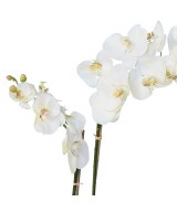 Artificial POTTED PHALAENOPSIS ORCHID 85