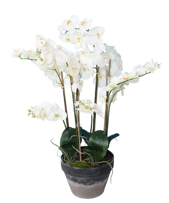 Kunstlik potilill Phalaenopsis orhidee 105