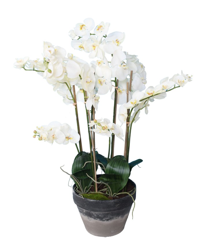 Kunstlik potilill Phalaenopsis orhidee 105